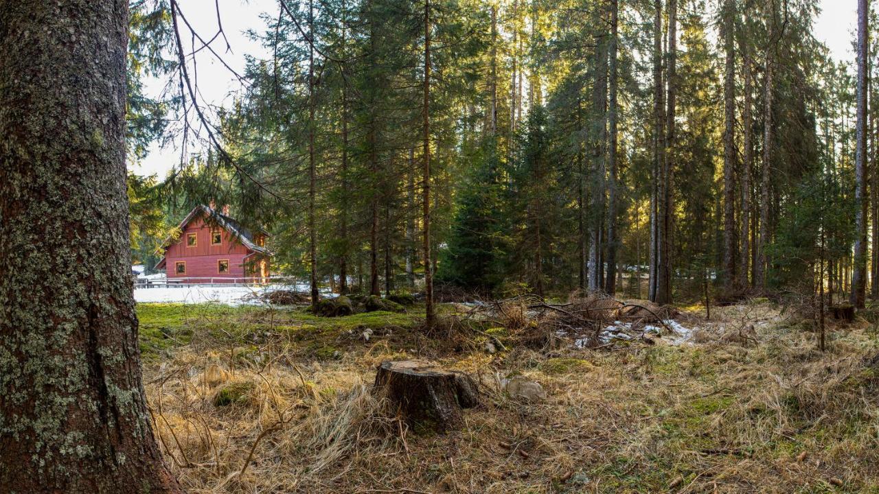 Digital Detox Chalet Pokljuka Goreljek 外观 照片