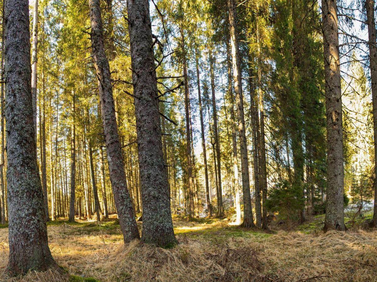 Digital Detox Chalet Pokljuka Goreljek 外观 照片